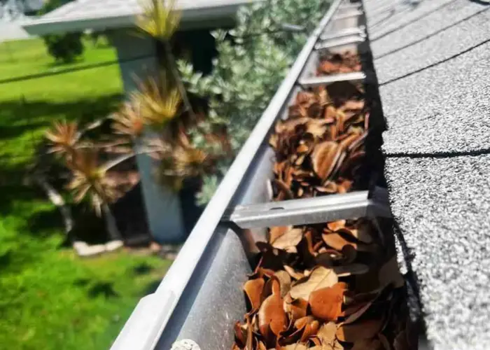 Savannah gutter cleaning home page